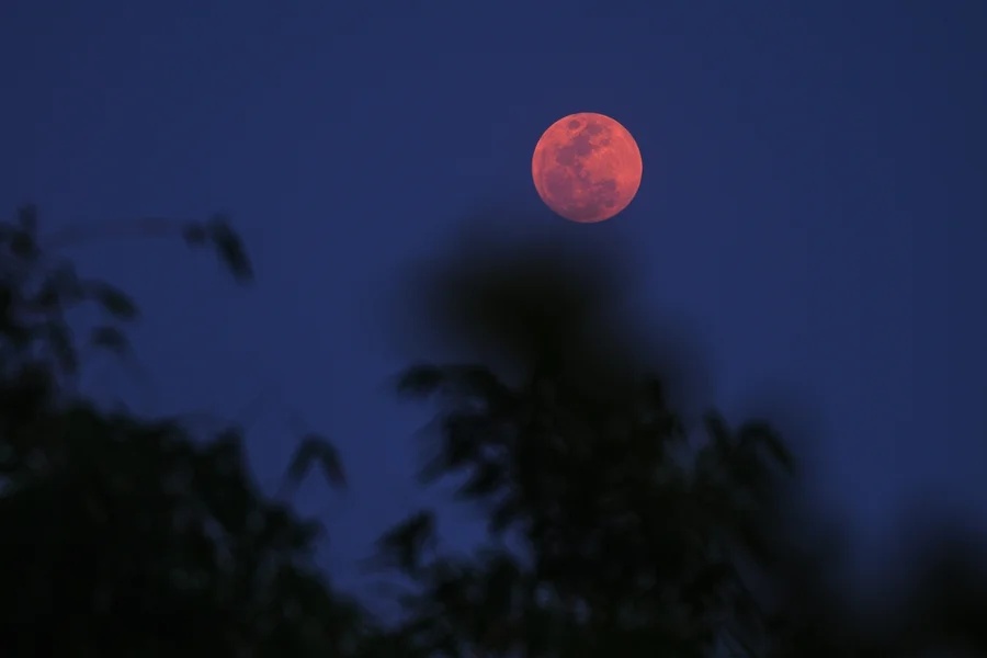 Lua Rosa brilha no céu brasileiro nesta quarta